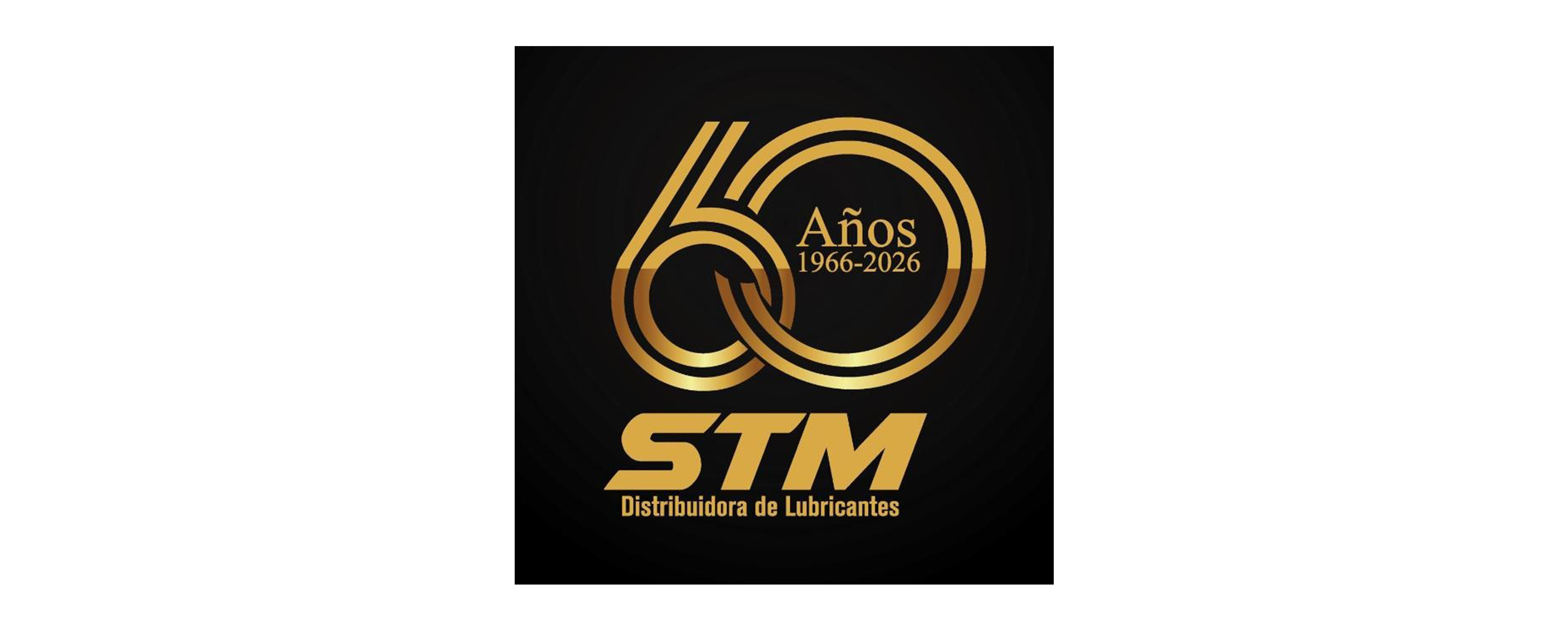 stm stm